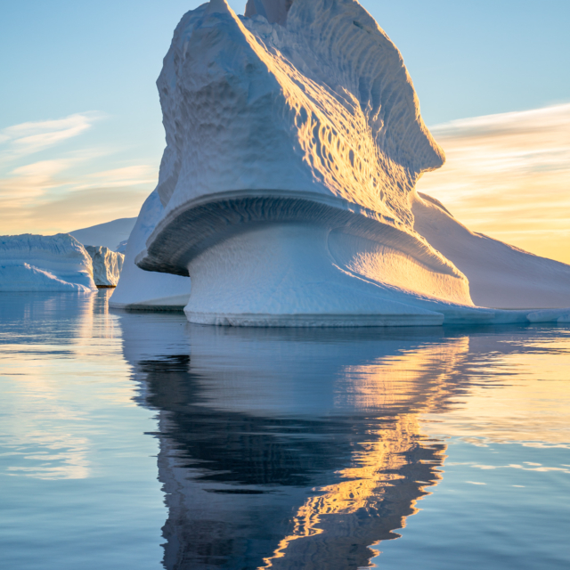 Iceberg ・ Pléneau Bay
