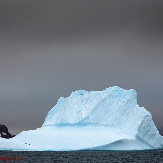 Iceberg · Aitcho Islands