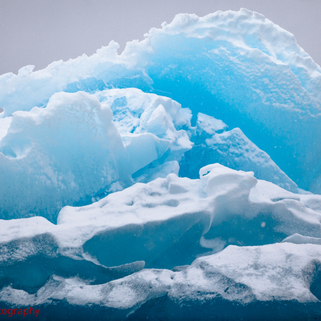 Iceberg Fins